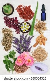 Herbal Skincare Healing Ingredients Soothe Psoriasis Stock Photo 560304316 | Shutterstock