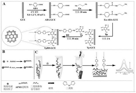 一种共价有机骨架材料原位修饰电极及电化学生物传感器的制作方法