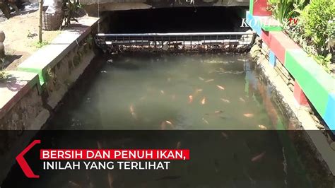 Mantap Selokan Disulap Jadi Kolam Ikan Video Dailymotion