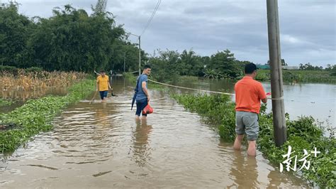 清城洲心：人大代表闻“汛”而动，协调解决群众问题 防汛 减灾 工作