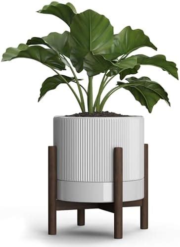 Amazon Carrward Ceramic Planter Pots Indoor With Drainage Hole