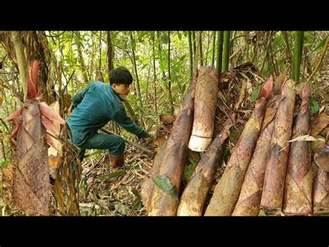 Mitter Harvests Bamboo Shoots And Sells Them At The Market Mitter