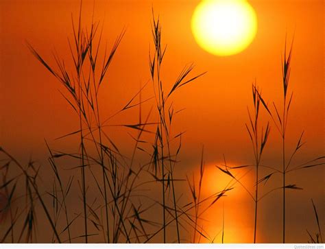 Hot Summer Wallpapers Top Free Hot Summer Backgrounds WallpaperAccess