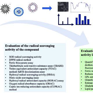 Schematic Illustration Of A Proposed Workflow For The Characterization