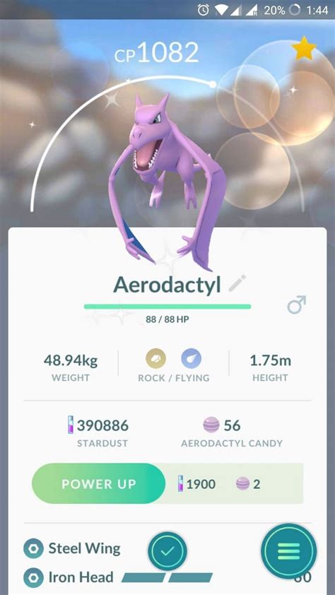 Aerodactyl Pokémon: How to Catch, Moves, Pokedex & More