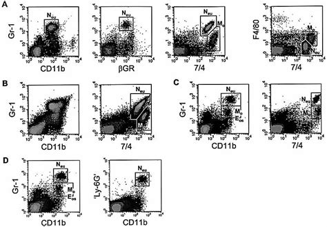 Pattern Recognition Receptors And Differentiation Antigens Define