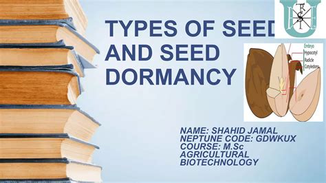 Types of seed and seed dormancy | PPT