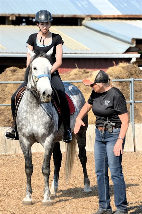 Riding Equitation Lessons - Herrold Stables, LLC