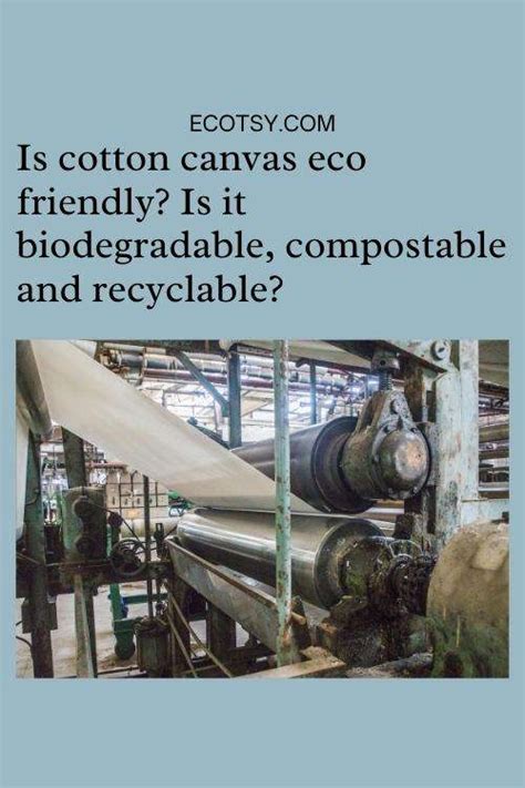 Is Cotton Canvas Eco Friendly Is It Biodegradable Compostable And