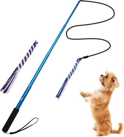 Ang B Ton De Flirt Extensible Pour Chien Avec Cordes De Rechange Pour