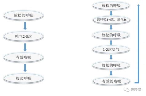 世界支扩日｜用对方法，减少支气管扩张急性加重生命科学澎湃新闻 The Paper