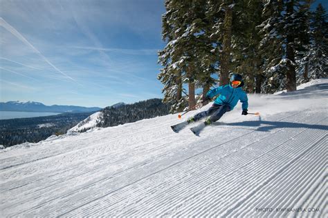 Mountain Stats | Homewood Mountain Resort | Homewood, CA