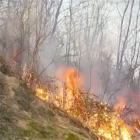 Un Grosso Incendio Scoppiato Nei Boschi Tra Griante E La Tremezzina