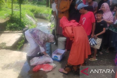 Penemuan Mayat Bayi Dalam Selokan Gegerkan Masyarakat Solok Antara News