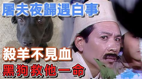 屠夫夜歸遇白事，殺羊不見血，黑狗救他一命 說故事的小琪 民間故事 Youtube