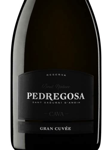 Castelo de Pedregosa Gran Cuvée Brut Nature Cava Vivino Italia