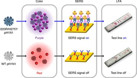 Application Of A To I R H Y Virus Detection Schematic Illustration