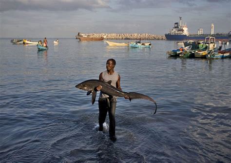 Somalia gives up its fishing rights to China - Face2Face Africa