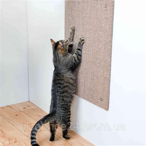 Когтеточка Trixie настенная с кошачьей мятой XXL 50 см / 70 см (серо ...