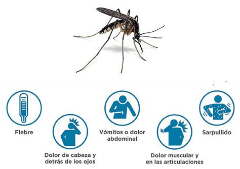 En Tierra Del Fuego Hay Casos Confirmados De Dengue No Aut Ctonos