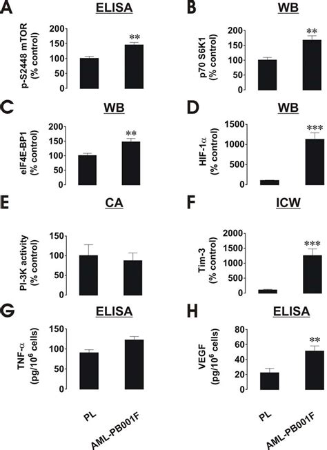 Comparative Quantitative Analysis Of Mtor Hif Pathway Components As