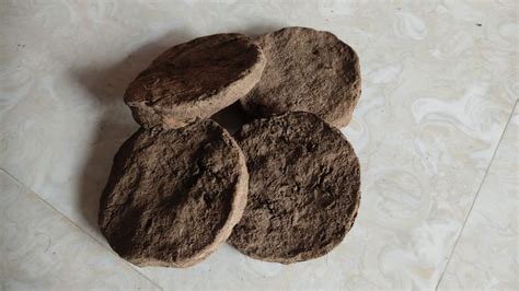 Cow Dung Cake Gobar At 3 50 Piece Cow Dung Cake For Manure In