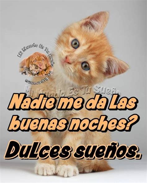 Dulces Sueños 73 Imágenes y Gifs con Frases para Compartir