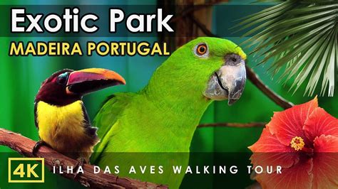 Exploring Madeira S Newest Exotic Bird Park Near Funchal Portugal