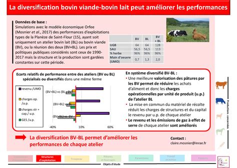 La Diversification Bovin Viande Bovin Lait Peut Am Liorer Les