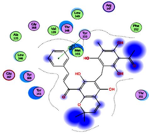 Insight Into The Role Of Clathrin‐mediated Endocytosis Inhibitors In