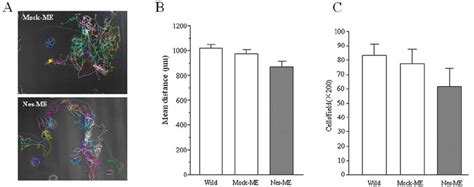 Cell Motility Assays A And B The Distances Covered Within 24 H By