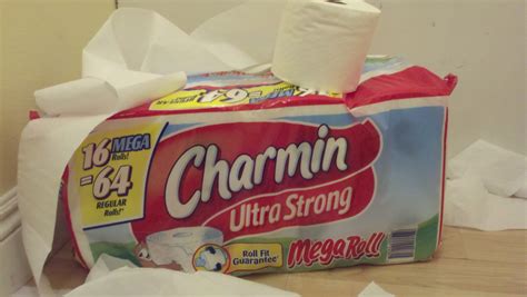 Amazing Charmin Ultra Strong Toilet Paper For Storables