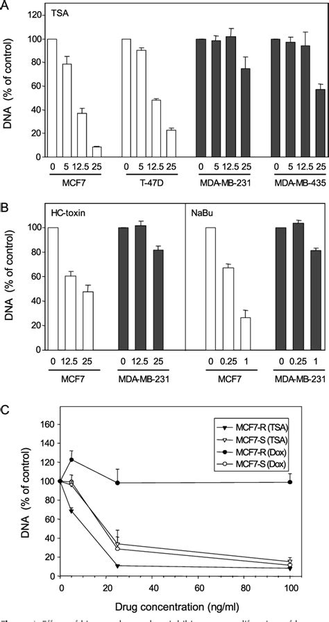 Figure From Oestrogen Receptor Cid Increases P Waf Cip Gene