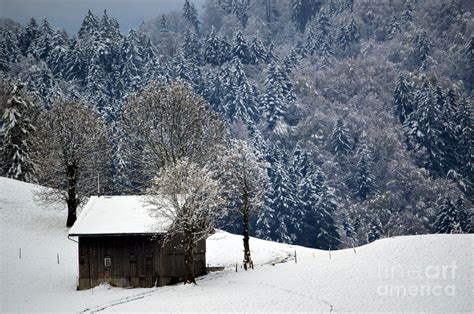 Winter Wonderland in Switzerland Photograph by Susanne Van Hulst - Fine ...