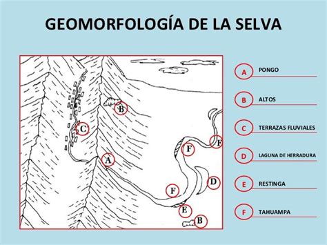 GEOMORFOLOGÍA DE LA SELVA A PONGO B Geomorfología Peruanos Selva