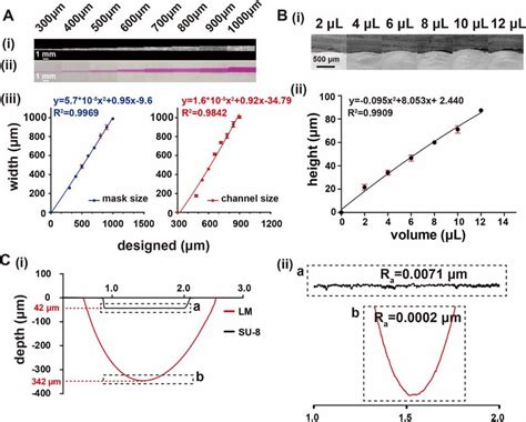 Fabrication And Characterization Of Liquid Molded Pdms Microdevices