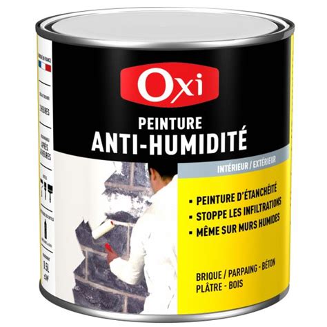 Peinture blanche anti humidité OXI Manubricole manubricole