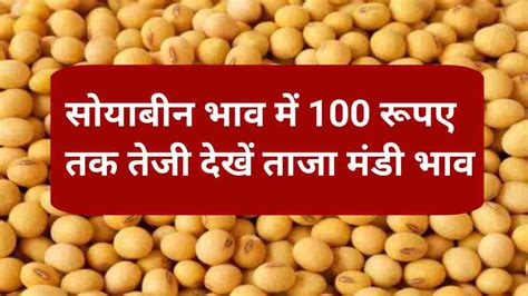 Soybean Rate Today 03 05 2023 सोयाबीन मंडी भाव में आज रही 100 रुपए तक की तेजी जाने ताजा मंडी