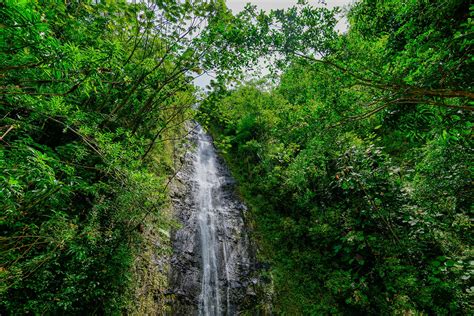 Manoa Falls - Take a Hike to See This Stunning Waterfall Which Is ...