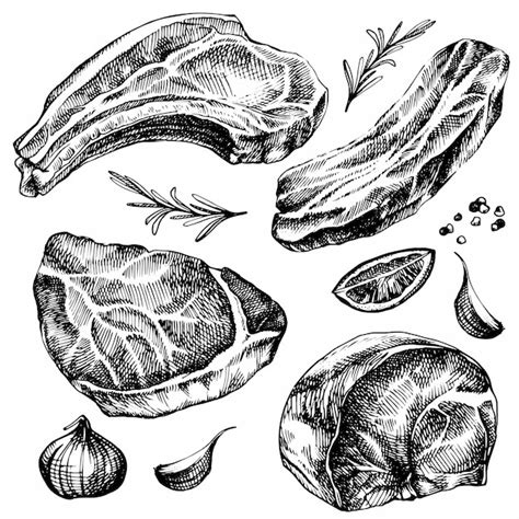 Premium Vector Hand Drawn Sketch Meat Set Detailed Ink Food