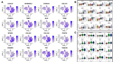 Top 16 most upregulated genes in Cluster-4. (A) (B) (C) as above ... 