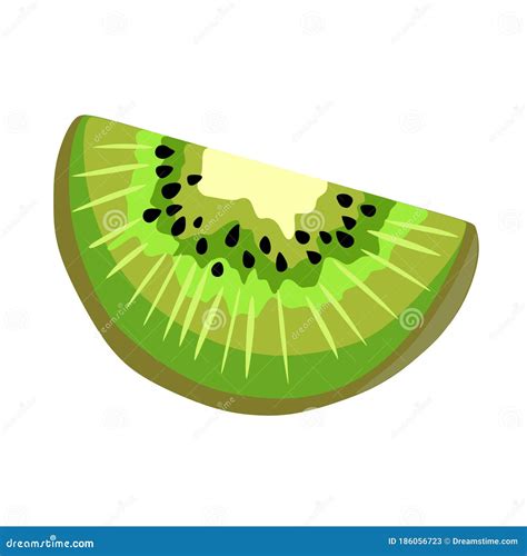 Kiwi Logo Icon Design Vector Kiwi Fruit Slice Close Up Icon Isolated