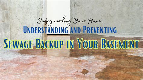 Understanding Sewage Backup In Basement