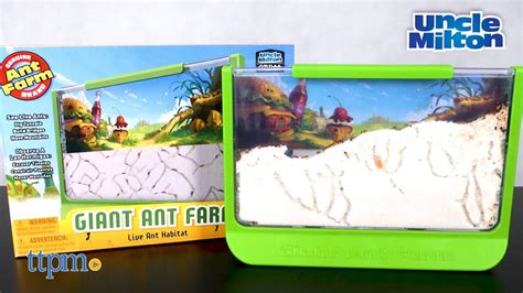 Giant Ant Farm From Uncle Milton YouTube