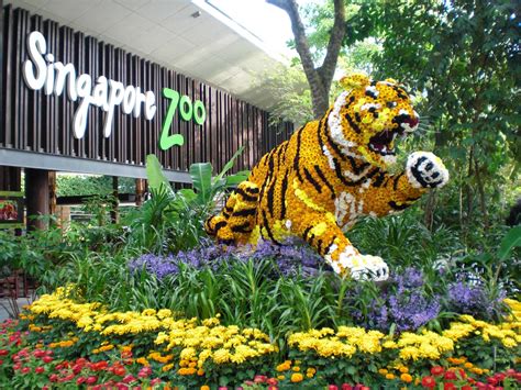 Singapore Zoo: The Singapore Zoological Gardens - SINGAPORE TOURS