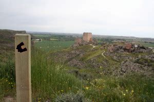 Ruta Ornitol Gica Por Ont Gola Ayuntamiento De Ont Gola