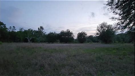 Naked In The Woods Videos Xvideos