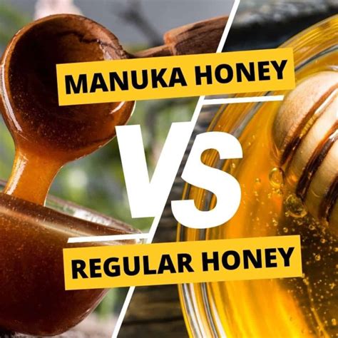 The Battle Manuka Honey Vs Regular Honey Bee Honey Makers Premium Manuka Honey Beekeeping