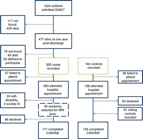 Brain Parts Flow Chart