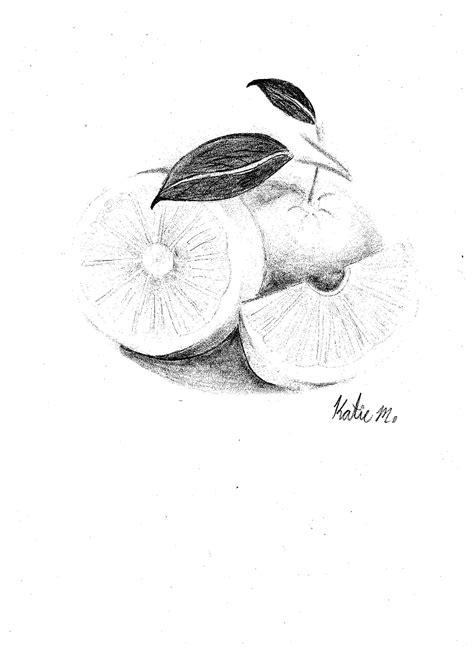 Fruit Drawing/Pencil Sketching and Shading | Small Online Class for Ages 8-13 | Outschool